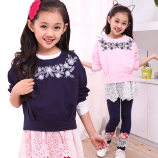 童卫衣-2014韩版童装卫衣女童上衣儿童刺绣套