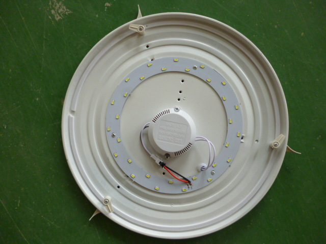 P1020141
