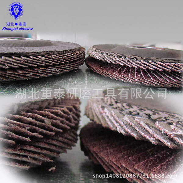 flap-disc-55