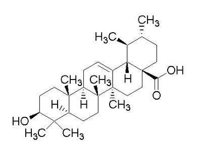 麓园生物专业生产熊果酸80% 枇杷叶提取物 植物提取物