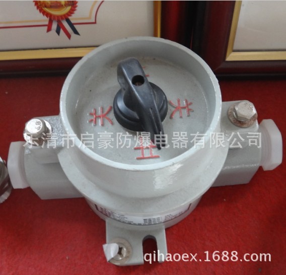 BZM-10系列防爆照明开关（IIB、IIC）-3