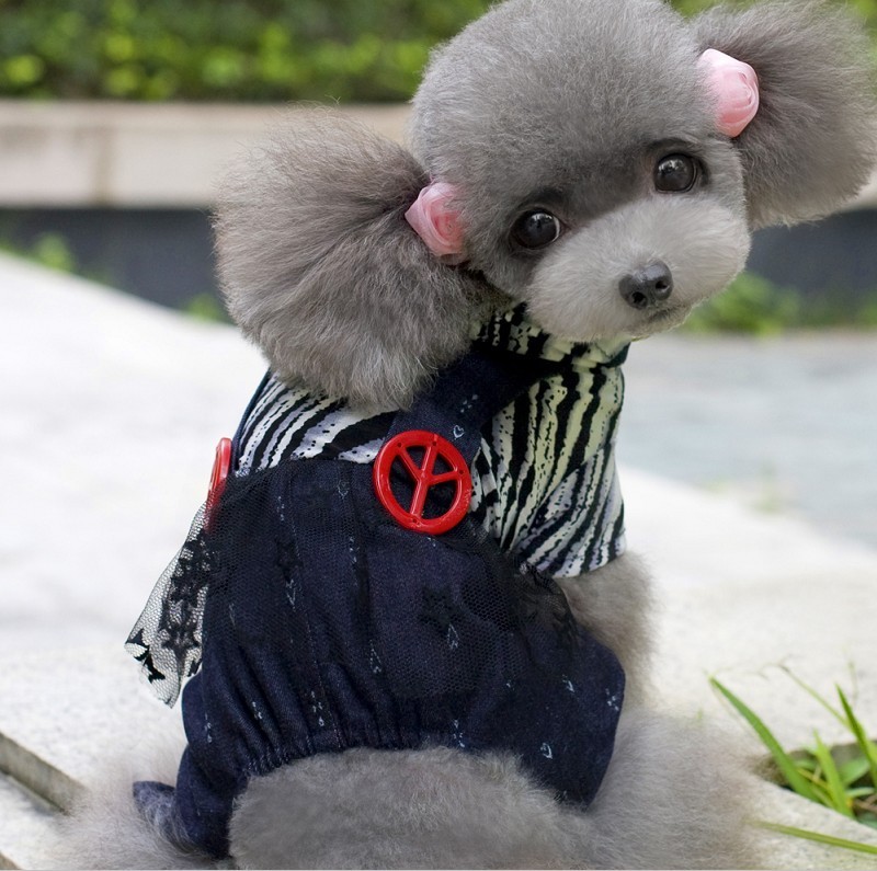 衣服2014新款宠物衣服 批发狗狗四脚衣  够狗 背