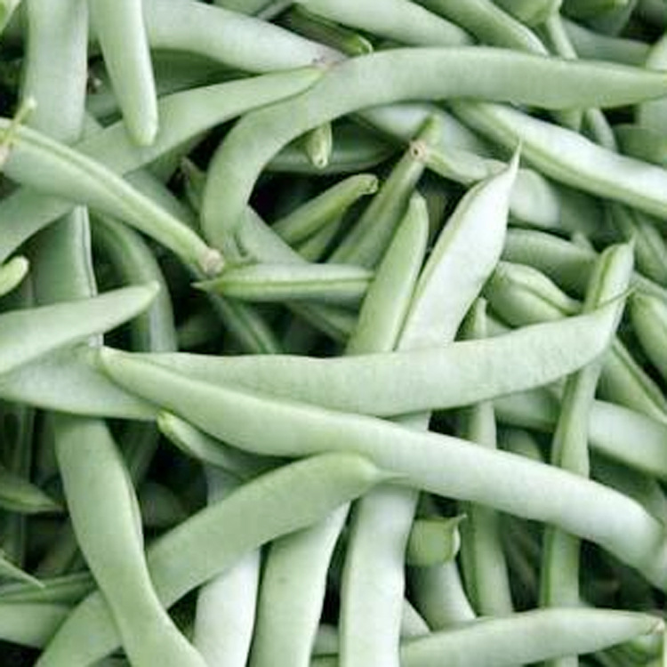 绿色食品 土生土长栽种  新鲜青菜青豆角 质量好 放心购买