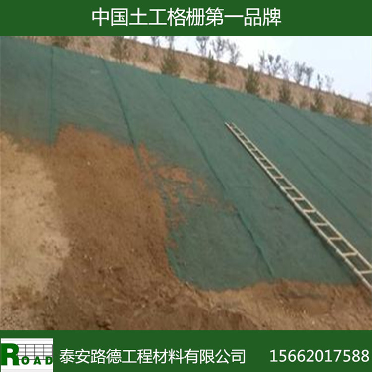 【包检测】厂家直供三维植被网土工网垫草坪网高速公路护坡种草网