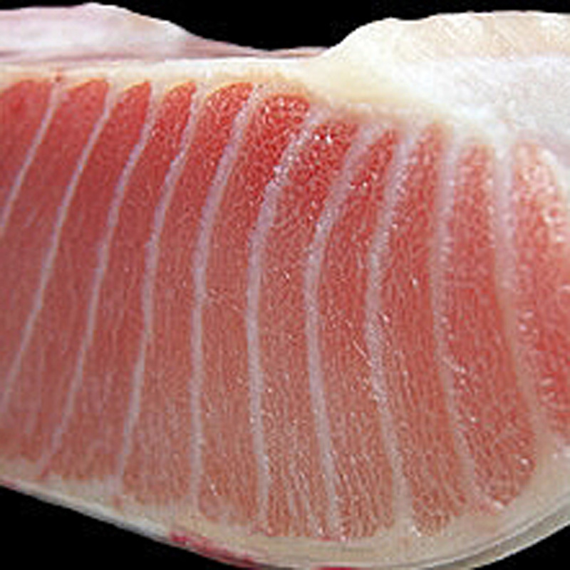 供应超低温金枪鱼 冷冻海鲜金枪鱼 日式料理专