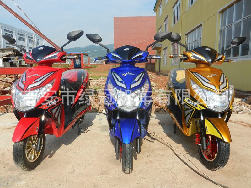 电动自行车-标准款电瓶车 全封闭中汇丰电动车