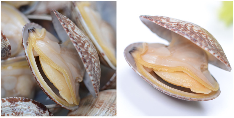 《供应》新鲜海鲜 鲜活贝类蛤蜊花蛤花蛤蜊 鲜活海鲜批发