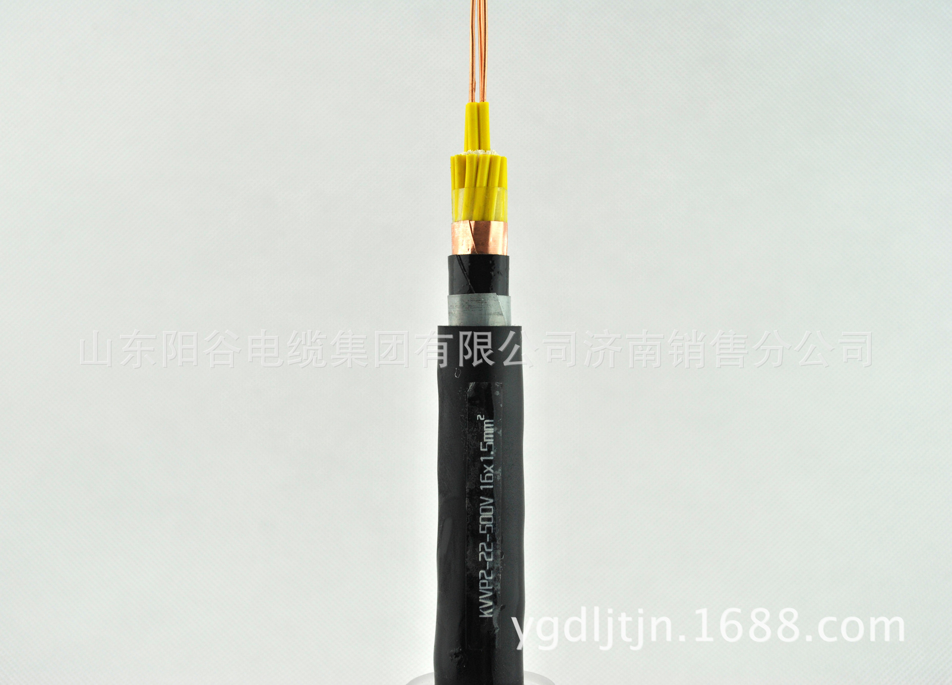 【屏蔽铠装控制电缆 KVVP2-22 铜带屏蔽铠装