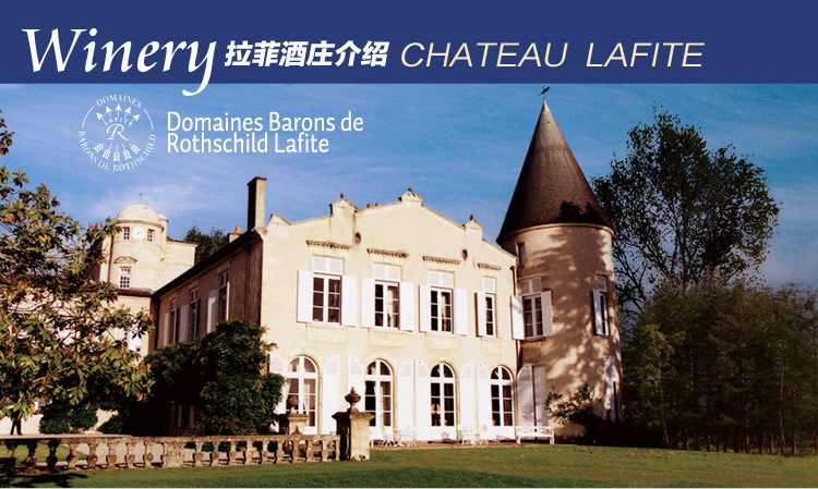 拉菲传奇波尔多干红葡萄酒