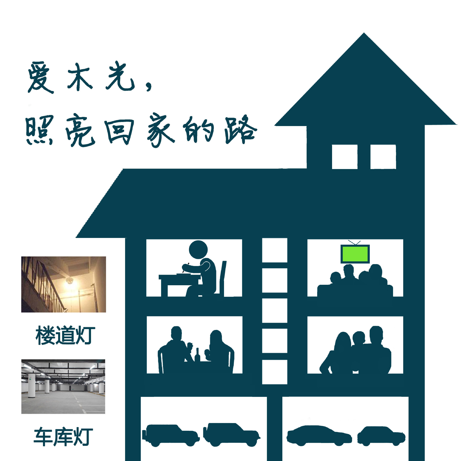 爱木光
