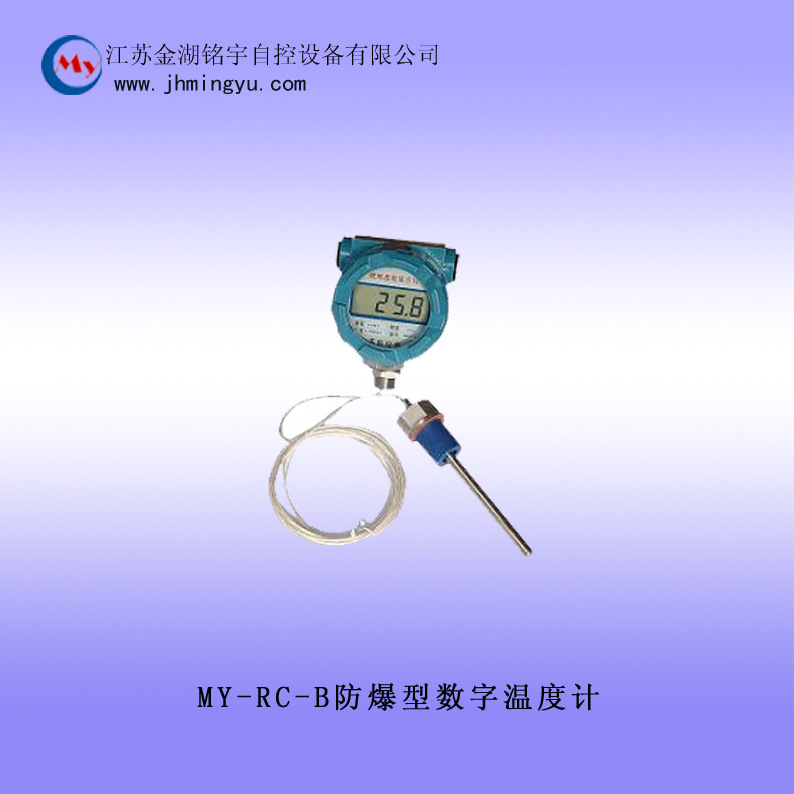 B防爆型數字溫度計