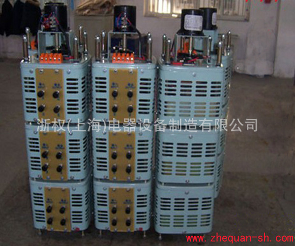 电动接触式调压器