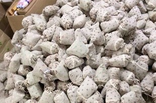 中医研制纯中药调配驱蚊包孕妇宝宝都适合无刺激