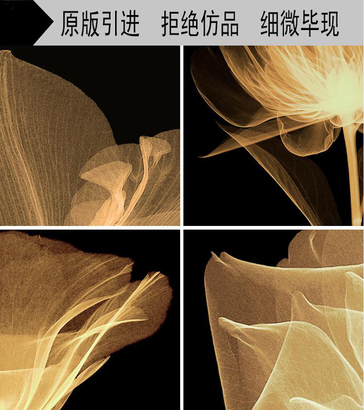 T2F6N7XxRXXXXXXXXX_!!856690043