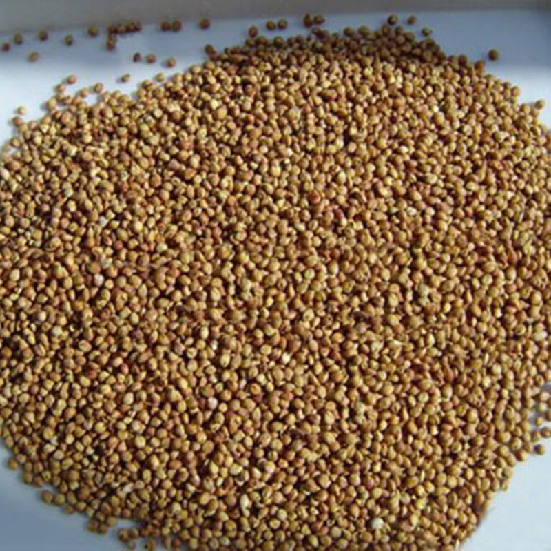 0908271517_副本_副本