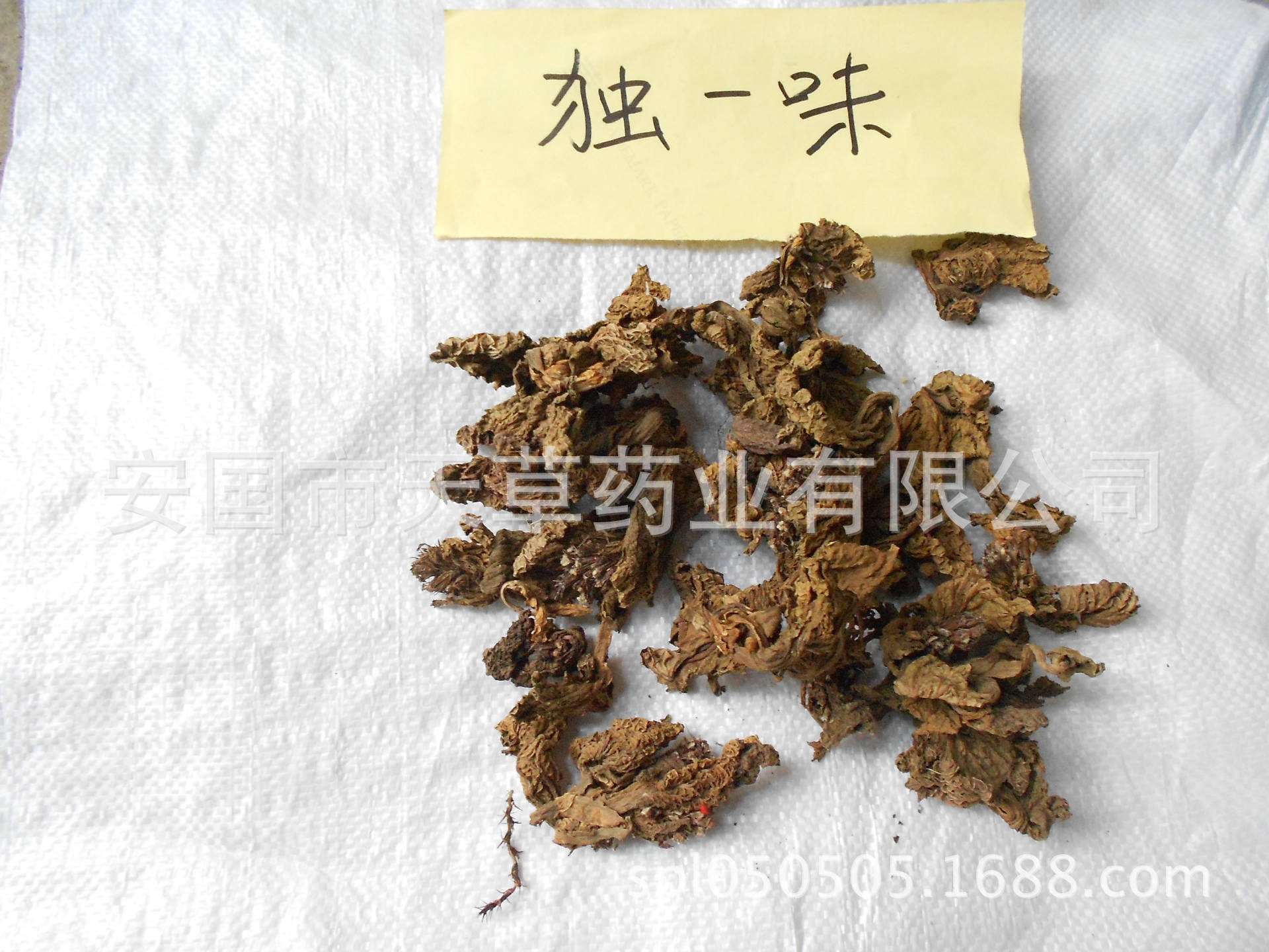 批发优质安国中药材独一味根45元/公斤,叶35元/公斤
