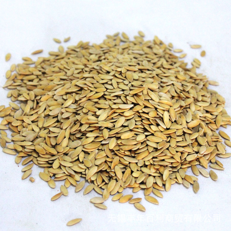 植物原药材-优质黄瓜籽 低温烘焙 锁住营养成分