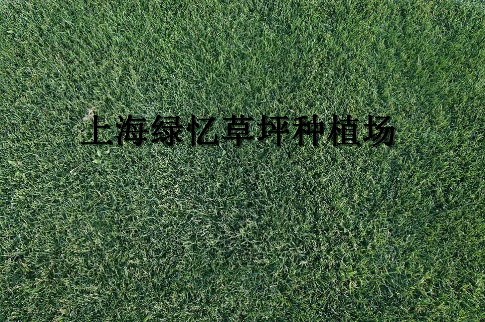 上海绿忆草坪种植场