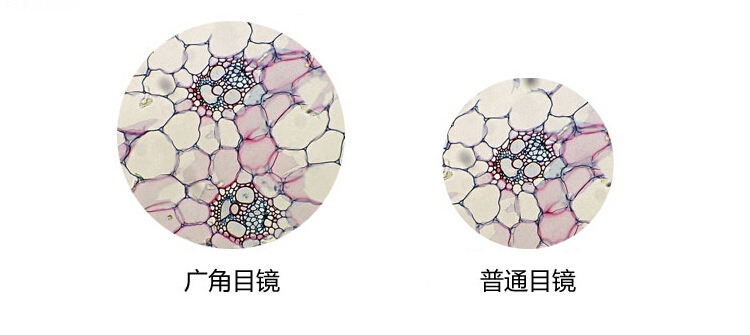 廣角目鏡與普通目鏡的區別