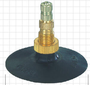 TR218A