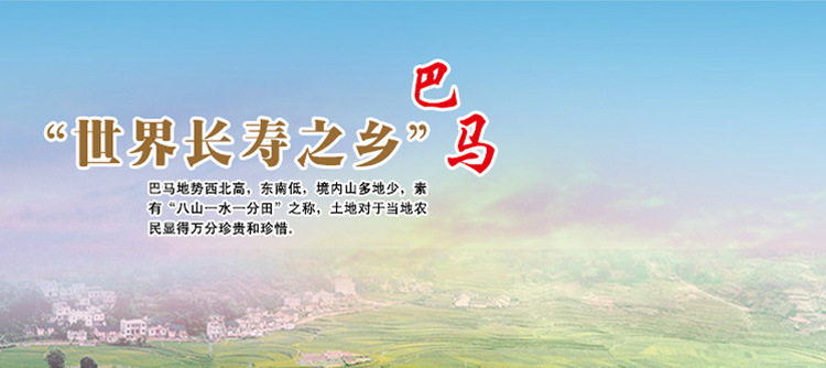 【特產(chǎn)批發(fā)】火麻香酥：世界長(zhǎng)壽鄉(xiāng)廣西特產(chǎn)禮品批發(fā)團(tuán)購(gòu)