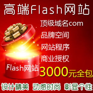 网站建设-FLASH网站制作 Flash网站建设 高端