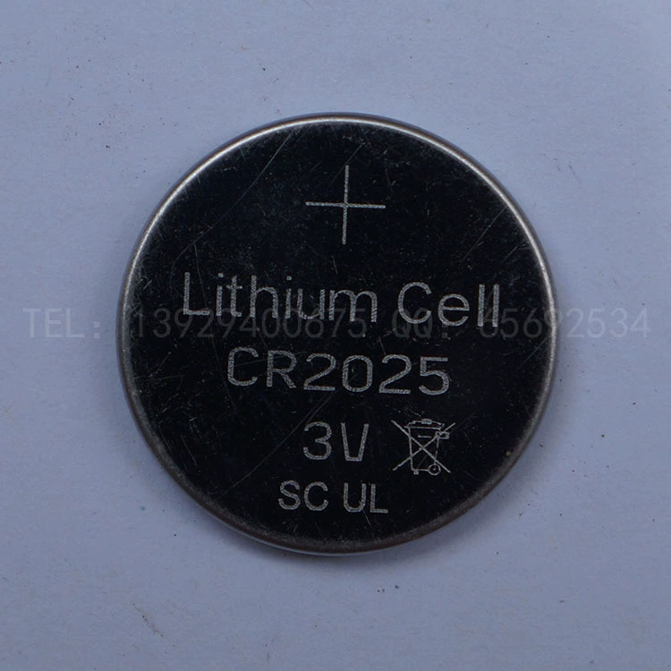 CR2025图1