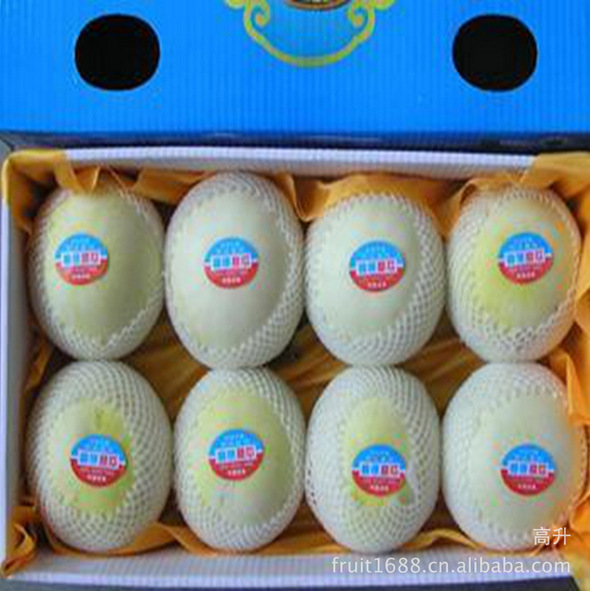 白瓜-洋香瓜黄瓜蔬菜伊丽莎白,黄皮,丰田,白瓜