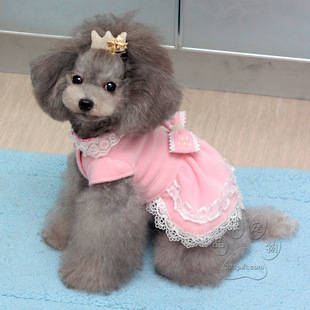 春夏装 宠物服装 泰迪 博美 超可爱 公主装 蕾丝裙 狗狗衣服