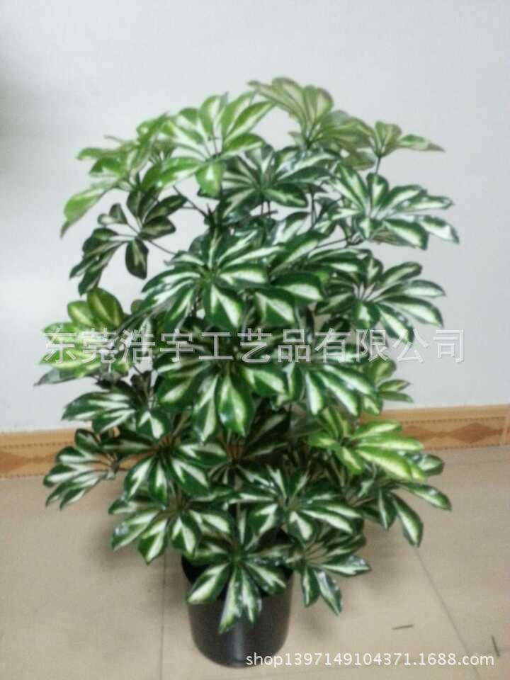 发采购植物工艺品-厂家直销仿真小三头鸡蛋花