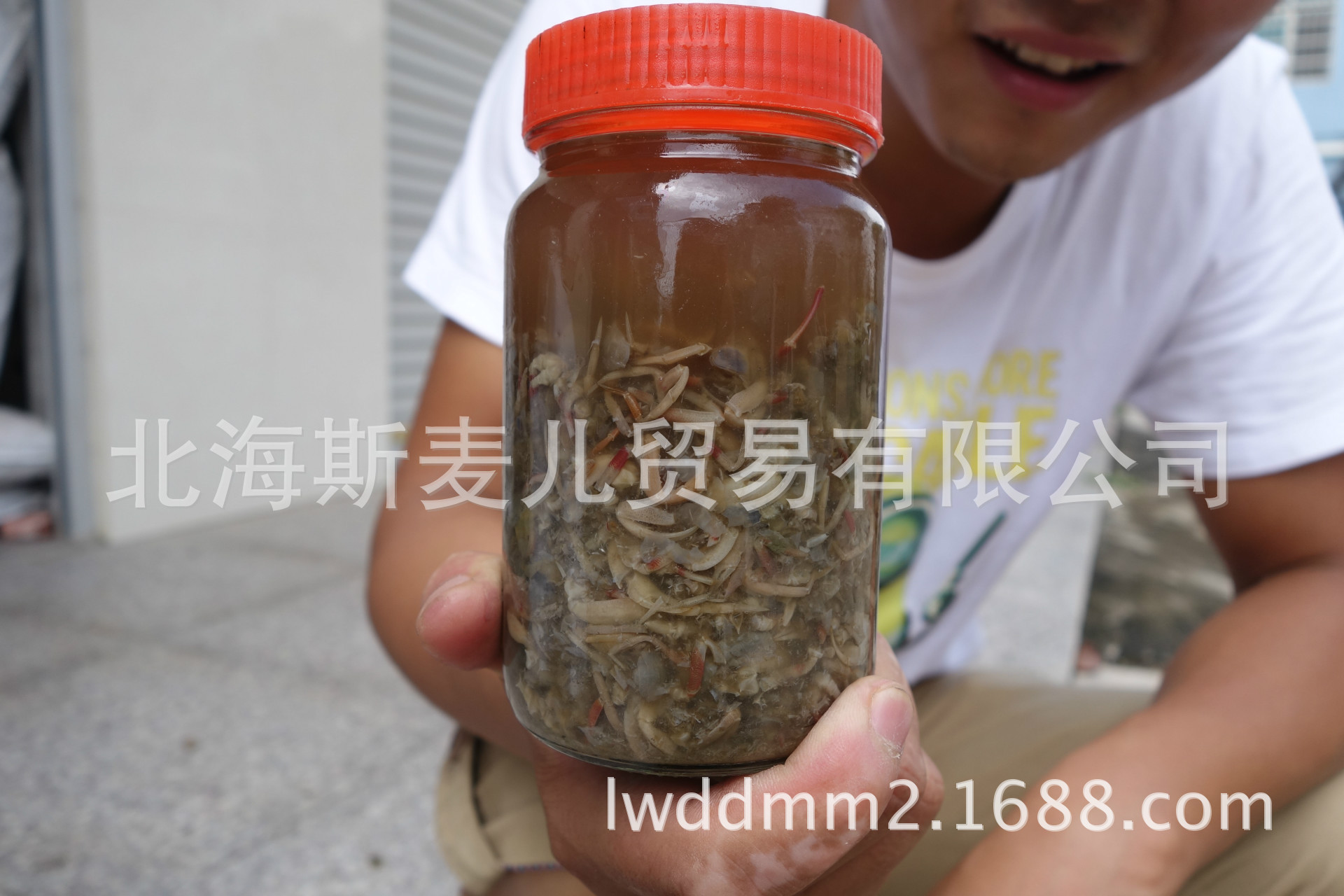 北海沙蟹汁 舌尖2 北海特产自制沙蟹汁 沙蟹酱 舌尖上的中国2