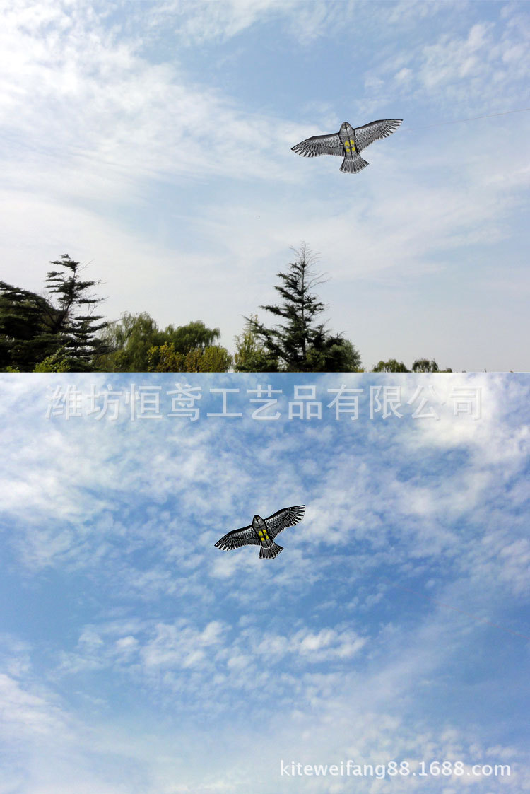 8米平面老鹰风筝 厂家直销 儿童最爱 好飞热卖