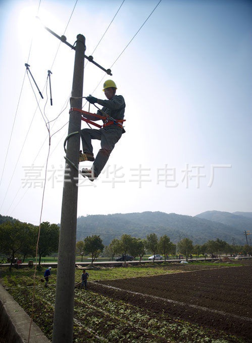 陕西铜川水泥电线杆φ150×8×c×y水泥电杆 陕西省8米电线杆