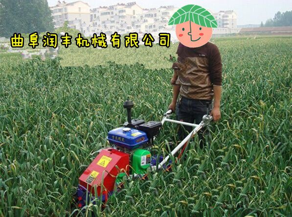 挖蒜设备-江苏挖蒜设备