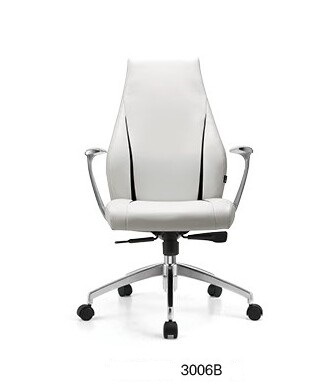 3006B