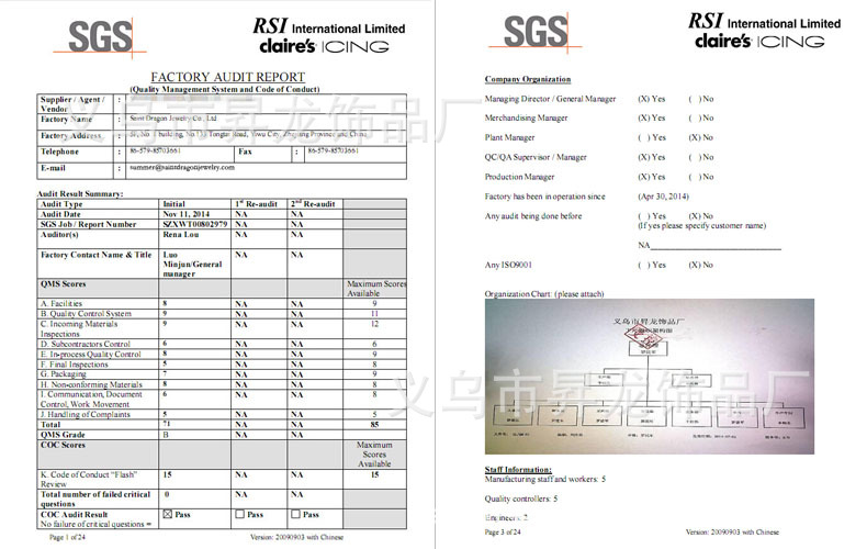 sgs验厂报告