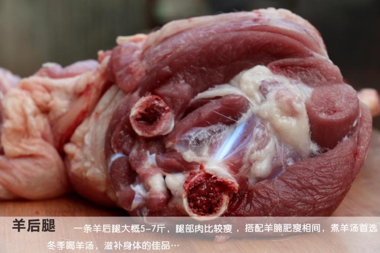 新鲜羊肉 羊腔子白条羊批发山羊羊肉全羊