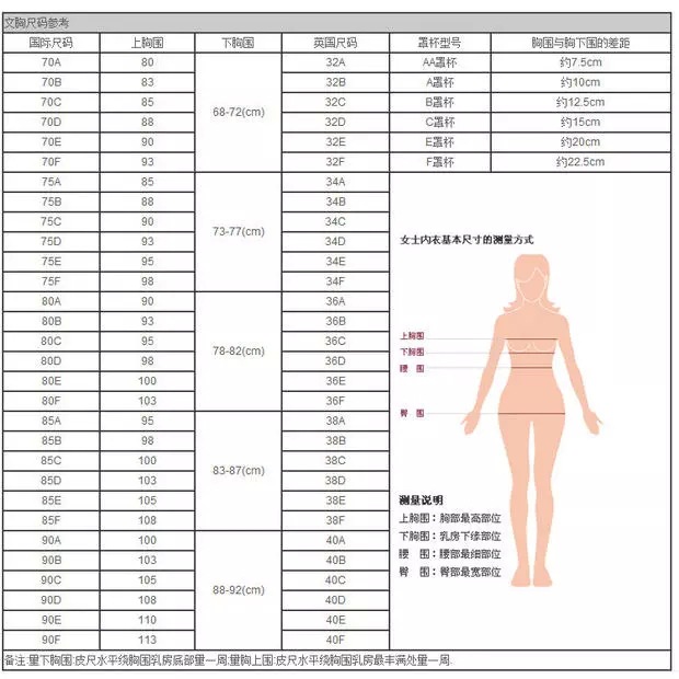 红豆文胸2015新款a罩杯中模杯聚拢调整型收副乳h23e181