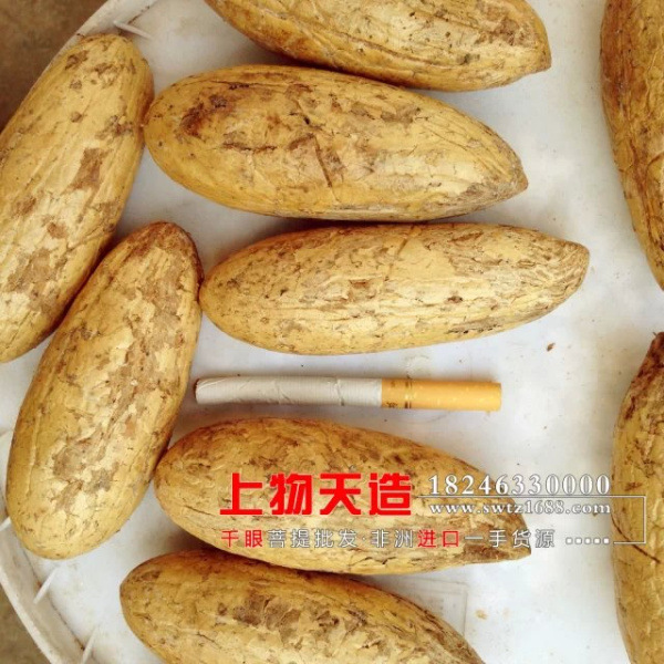 大连千眼菩提原子地摊货批发 大果手把件鳄鱼果霸王果 特惠价全国