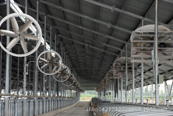 奶牛场现场安装后照片2