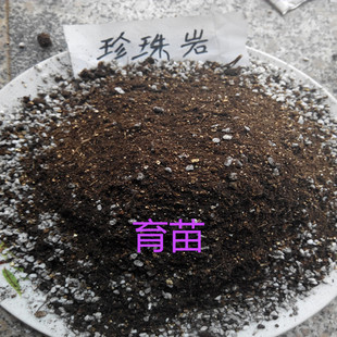 厂家供应膨胀园艺珍珠岩 育苗种植珍珠岩 建筑 保温用