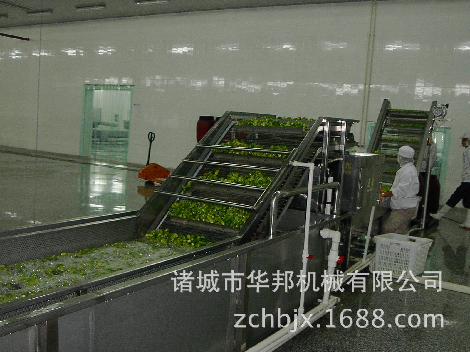 8000l蔬菜清洗机厂家 气泡清洗机 油菜清洗机 辣椒清洗机图片_4