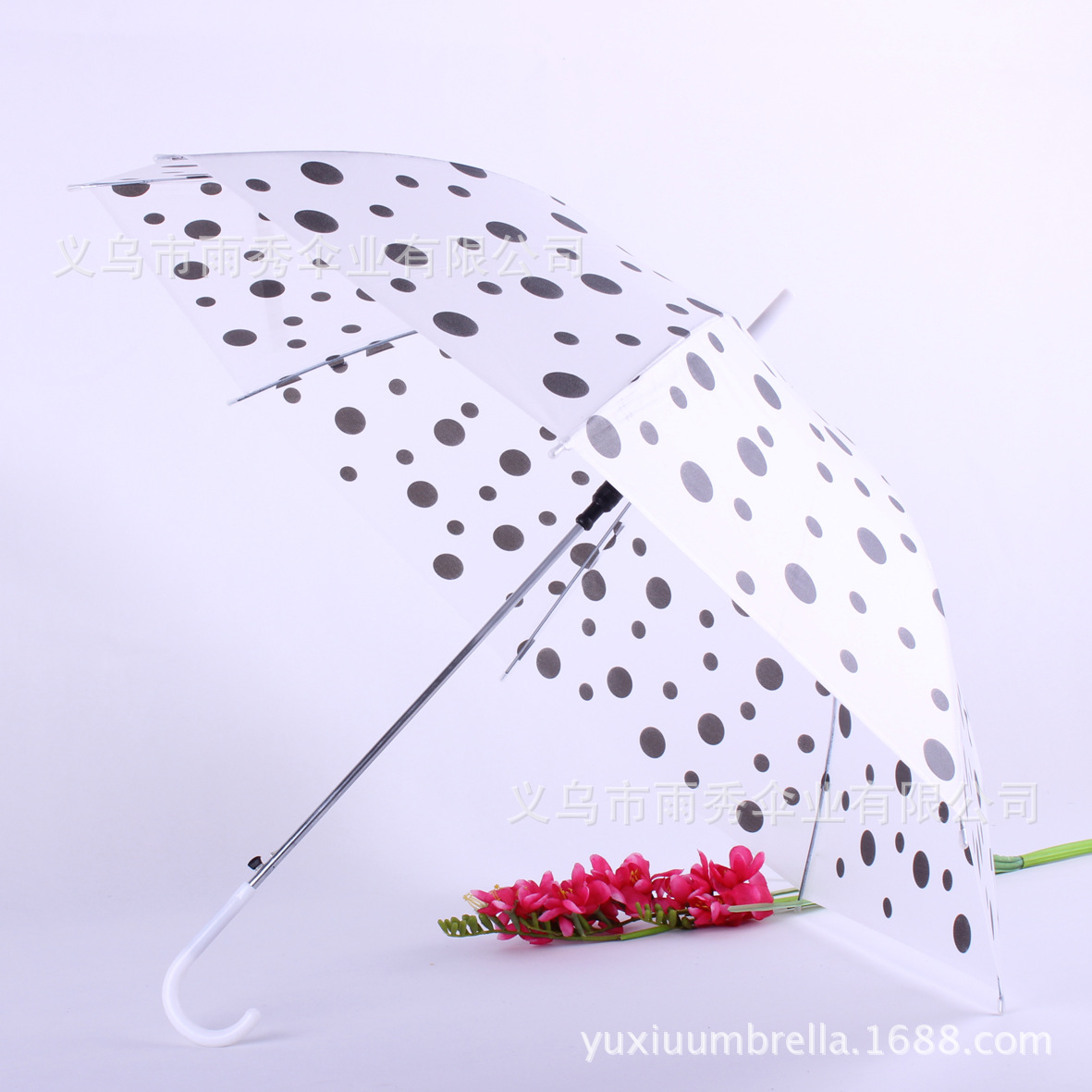 雨秀 圆点泡泡EVA 通明伞 环保伞 雨伞现货批发