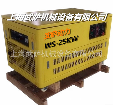 汽油发电机25KW