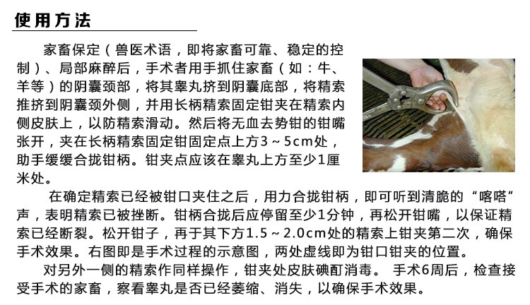 去势器农盛乐牛不锈钢无血去势钳 阉割钳 煽羊钳煽牛