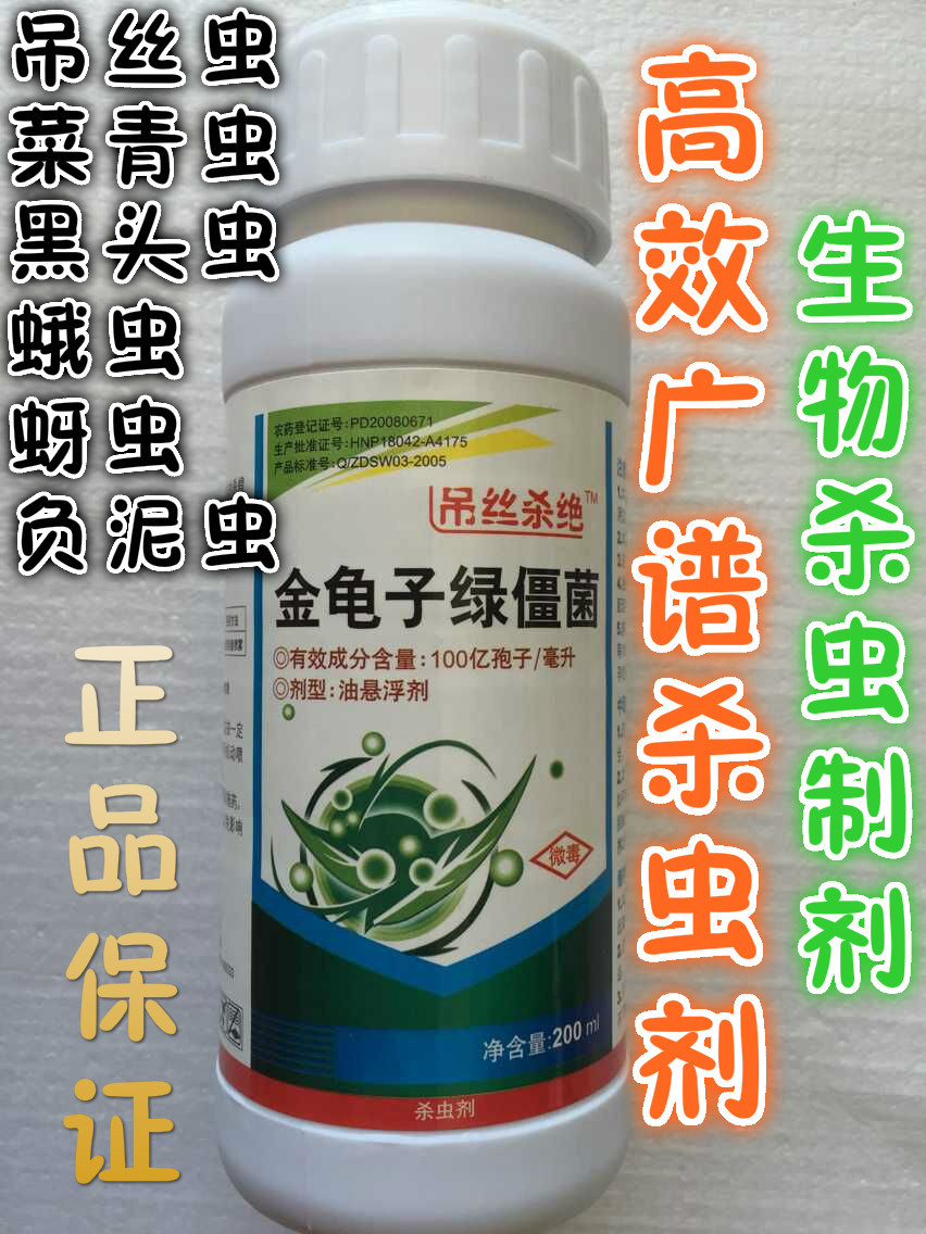 金龟子绿僵菌 吊丝虫 菜青虫 蝗虫 粉虱 飞蛾 植物杀虫剂农药