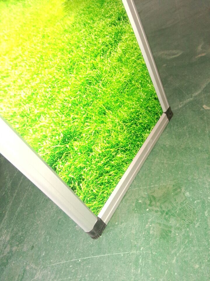 QQ图片20140731151349