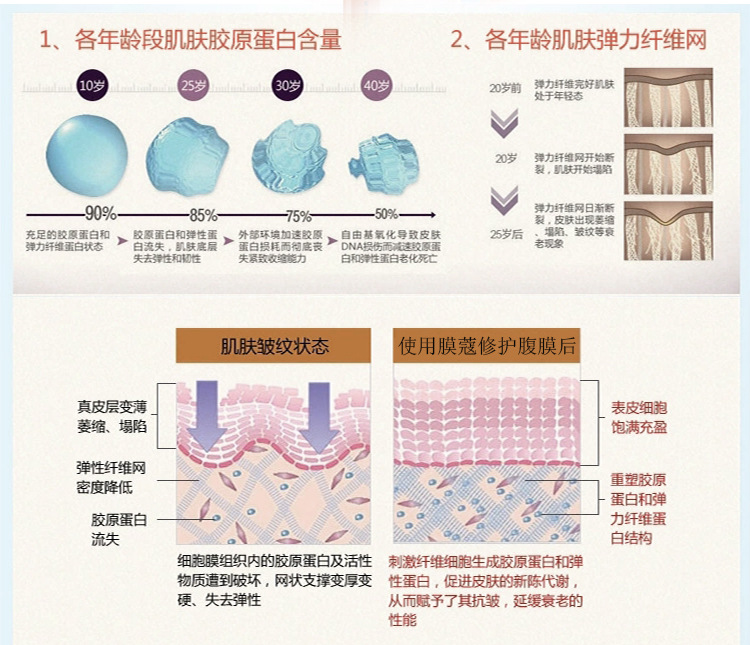 750腹膜_11