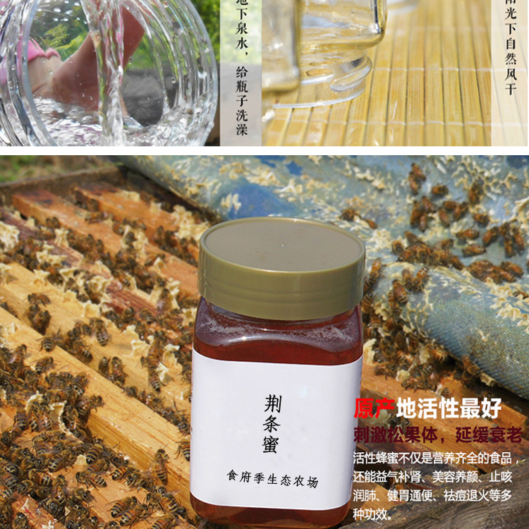 农家蜂蜜纯天然土蜂蜜自产批发代发原蜜荆条蜜500g紫荆花蜂蜜图片_23