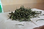 明前茶毛尖春茶 绿茶厂家直销黄马凤凰沟前岭银毫250g礼袋包邮